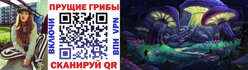 Псилоцибиновые грибы Magic Shrooms  Купить где  Бузулук 